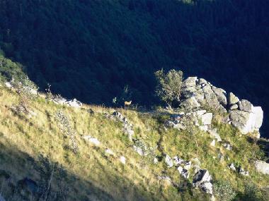 Apartamento de vacaciones en grardmer (Vosges)Casa de vacaciones