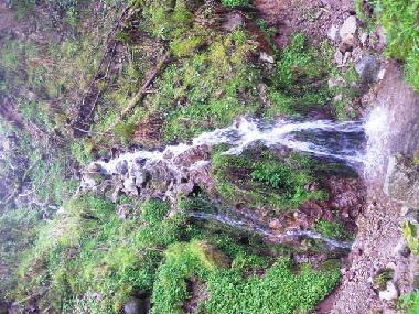 Apartamento de vacaciones en grardmer (Vosges)Casa de vacaciones