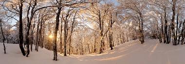 Apartamento de vacaciones en grardmer (Vosges)Casa de vacaciones