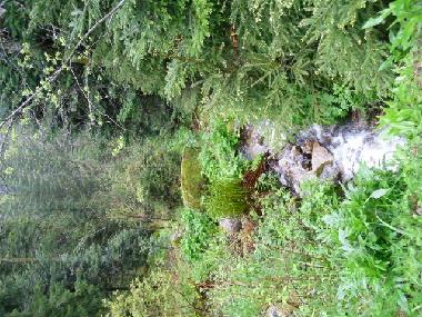 Apartamento de vacaciones en grardmer (Vosges)Casa de vacaciones