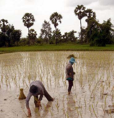 Villa en Udon Thani (Udon Thani)Casa de vacaciones