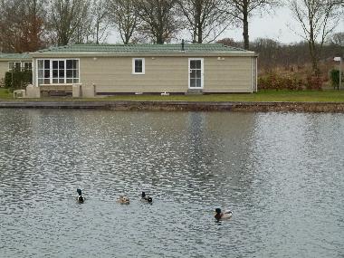 Chalet en Hoge Hexel (Overijssel)Casa de vacaciones