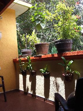 Casa de vacaciones en Induruwa (Kalutara)Casa de vacaciones