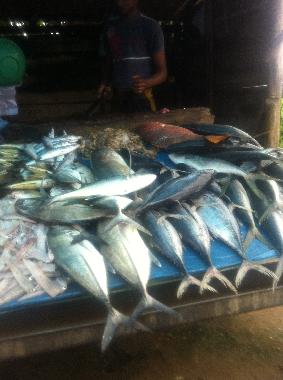 Casa de vacaciones en Induruwa (Kalutara)Casa de vacaciones