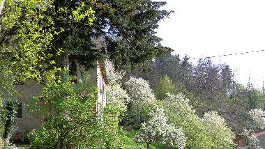 Casa de vacaciones en Bagni di Lucca (Lucca)Casa de vacaciones