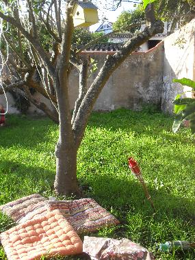 Cama y desayuno en obidos (Oeste)Casa de vacaciones
