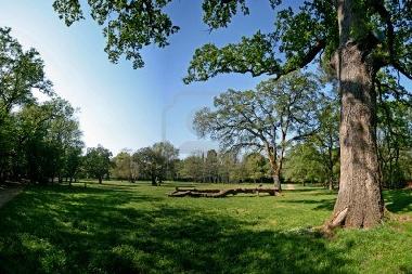 Apartamento de vacaciones en PULA (Istarska)Casa de vacaciones