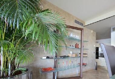 Cama y desayuno en Vallauris (Alpes-Maritimes)Casa de vacaciones