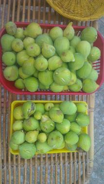 Casa de vacaciones en Montauro (Catanzaro)Casa de vacaciones