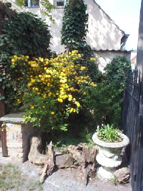 Apartamento de vacaciones en Potsdam (Potsdam, Kreisfreie Stadt)Casa de vacaciones