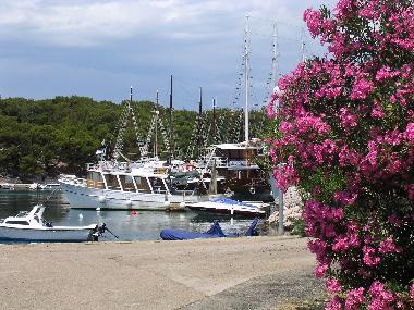 Apartamento de vacaciones en Mandre (Zadarska)Casa de vacaciones