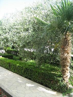 Apartamento de vacaciones en Omi (Splitsko-Dalmatinska)Casa de vacaciones