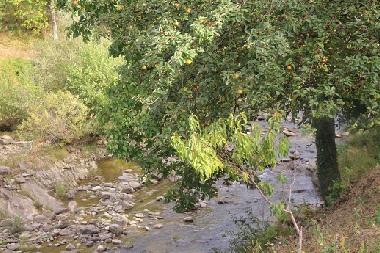 Casa de vacaciones en Kryvenik (Gabrovo)Casa de vacaciones