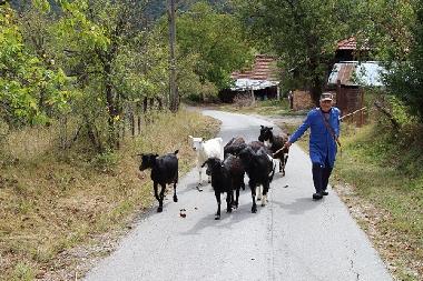 Casa de vacaciones en Kryvenik (Gabrovo)Casa de vacaciones