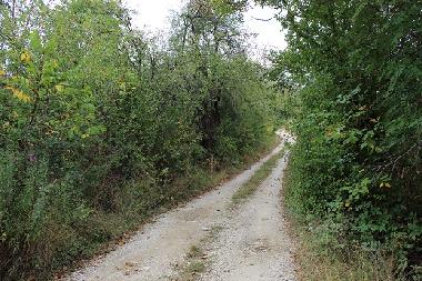 Casa de vacaciones en Kryvenik (Gabrovo)Casa de vacaciones