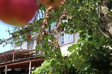 Casa de vacaciones en Kryvenik (Gabrovo)Casa de vacaciones