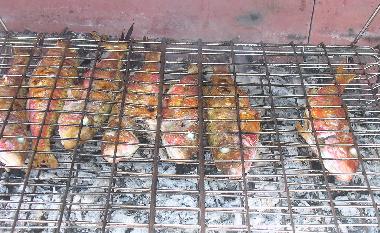 Apartamento de vacaciones en Mandre (Zadarska)Casa de vacaciones