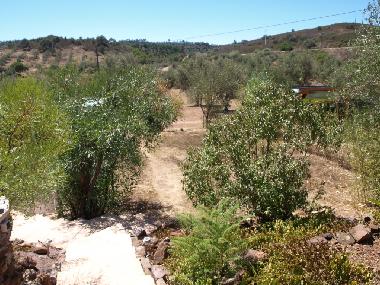 Apartamento de vacaciones en Sao Bartholomeu de Messines (Algarve)Casa de vacaciones