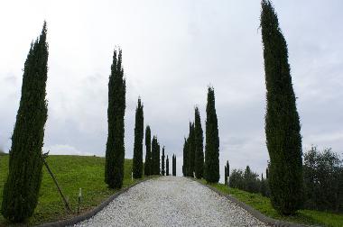 Casa de vacaciones en Lari (Pisa)Casa de vacaciones