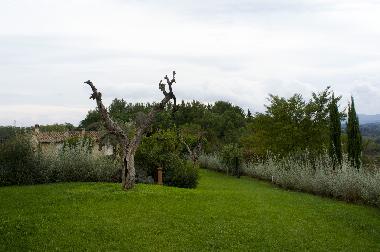 Casa de vacaciones en Lari (Pisa)Casa de vacaciones