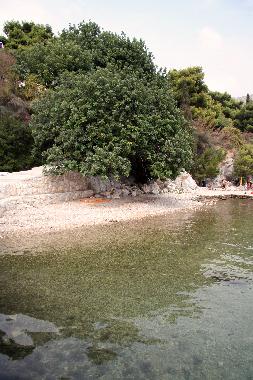 Cama y desayuno en dubrovnik-zaton (Dubrovacko-Neretvanska)Casa de vacaciones