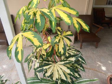 Casa de vacaciones en Pereybere (Pereybere)Casa de vacaciones