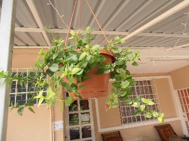 Casa de vacaciones en Pereybere (Pereybere)Casa de vacaciones