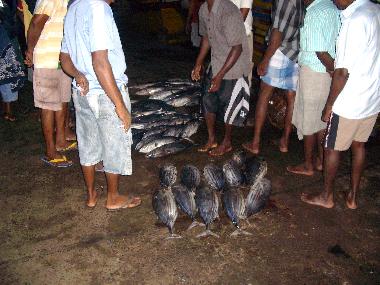 Villa en Moragalla (Kalutara)Casa de vacaciones