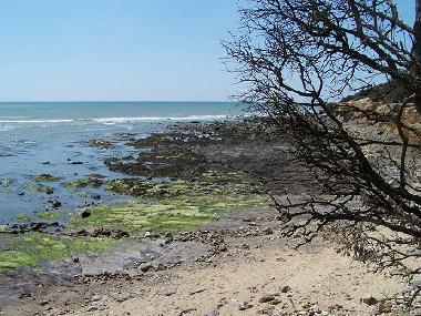 Casa de vacaciones en Chateau Guibert (Vend�e)Casa de vacaciones