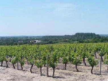 Casa de vacaciones en Chateau Guibert (Vend�e)Casa de vacaciones