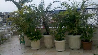 Apartamento de vacaciones en Rio de Janeiro (Rio de Janeiro)Casa de vacaciones