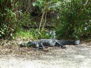 Casa de vacaciones en Cape Coral (Florida)Casa de vacaciones