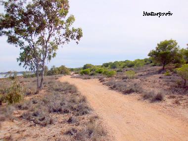 Apartamento de vacaciones en Guardamar del Segura (Alicante / Alacant)Casa de vacaciones