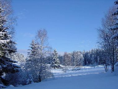 Apartamento de vacaciones en Sandl (Mhlviertel)Casa de vacaciones