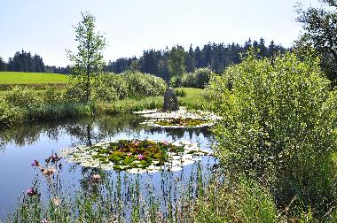 Apartamento de vacaciones en Sandl (Mhlviertel)Casa de vacaciones