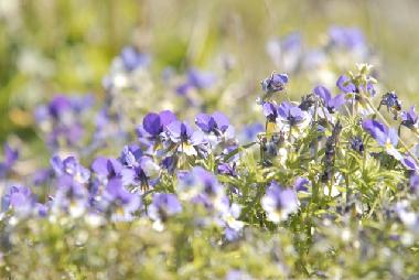 Villa en Bohus-Bj�rk� (Bohusl�n)Casa de vacaciones