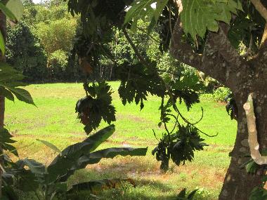 Apartamento de vacaciones en hikkaduwa (Galle)Casa de vacaciones