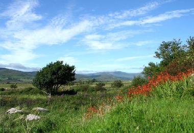 Casa de vacaciones en Waterville (Kerry)Casa de vacaciones