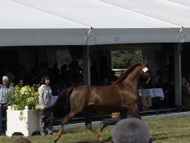 Casa de vacaciones en Wajkow (Podlaskie)Casa de vacaciones