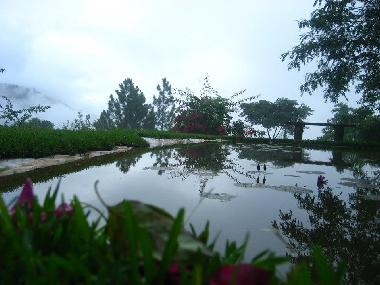 Cama y desayuno en Kandy (Kandy)Casa de vacaciones