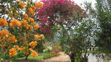Cama y desayuno en Kandy (Kandy)Casa de vacaciones