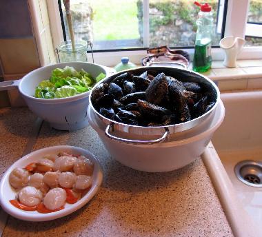 Casa de vacaciones en Tahilla (Kerry)Casa de vacaciones