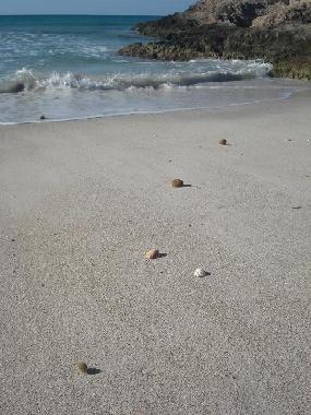 Casa de vacaciones en campos (Mallorca)Casa de vacaciones