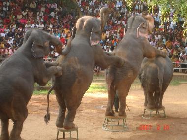Casa de vacaciones en KOSWATTA (Colombo)Casa de vacaciones
