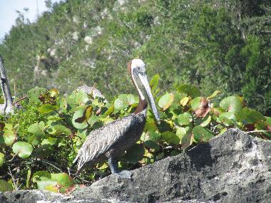 Casa de vacaciones en Punta Bonita (Samana)Casa de vacaciones
