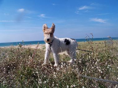 Casa de vacaciones en Lindbergh-PLage (Manche)Casa de vacaciones