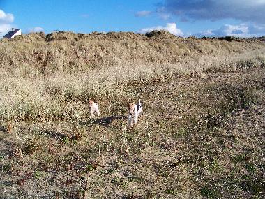 Casa de vacaciones en Lindbergh-PLage (Manche)Casa de vacaciones