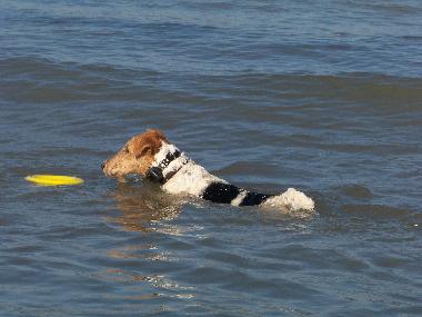 Casa de vacaciones en Lindbergh-PLage (Manche)Casa de vacaciones