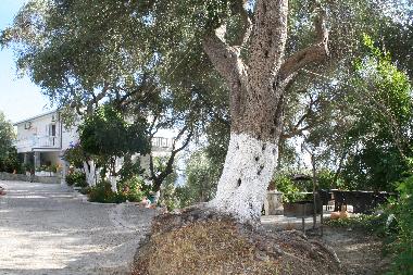 Apartamento de vacaciones en Parga (Preveza)Casa de vacaciones