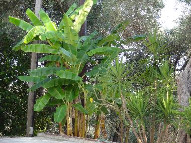 Apartamento de vacaciones en Parga (Preveza)Casa de vacaciones